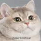johannak